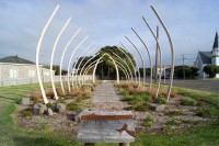 /album/fotogalerie-taranaki/whales-bones-in-patea-jpg/